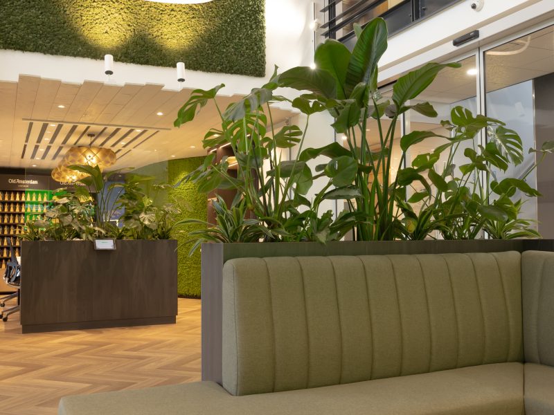 Interieurbouw Heusden – Westland kaas – Kantoor - Entree - Ontvangstruimte - Signing -  Moswand - presentatiekast - wachtbank - bank - pantry - Signing - maatwerkkast - kast - lamp - design lamp Interieurbouw Heusden – Westland kaas – Entree - Kantoorinrichting